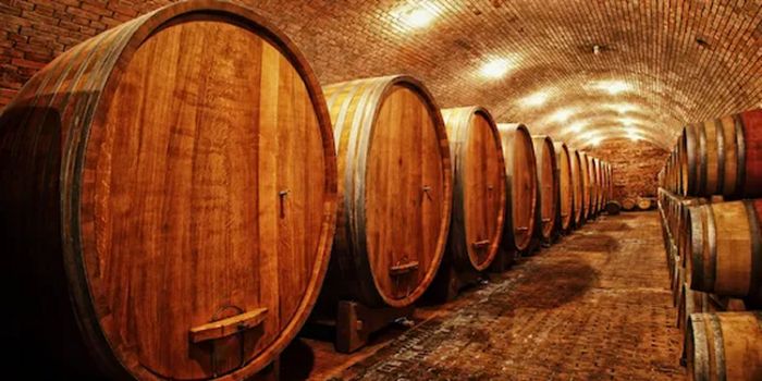 THE WONDERS OF OAK AGING YOUR RED WINE