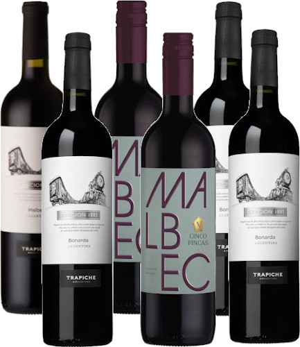 Argentina 6 Wine Bundle